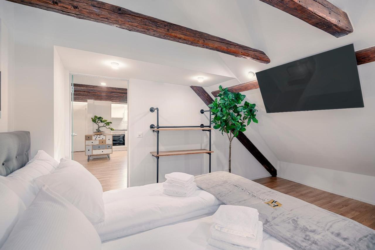 Eh Apartments Jupiter St. Gallen Ngoại thất bức ảnh